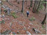 Hruševka - Planina Travnik